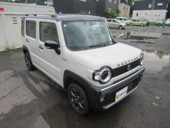 ハスラー タフワイルド 4WD
