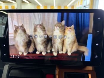 タフト G ターボ 純正ナビ・TV 4WD