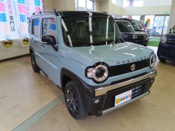 ハスラー タフワイルド 3型 スズキセーフティサポート 未使用車 4WD 